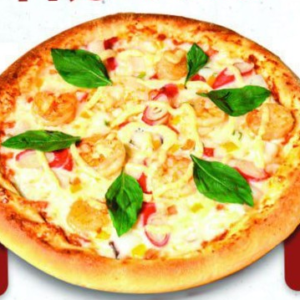 PRO Chicken Pizza (Medium, Large)